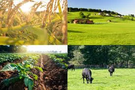 Agriculture and Livestock
